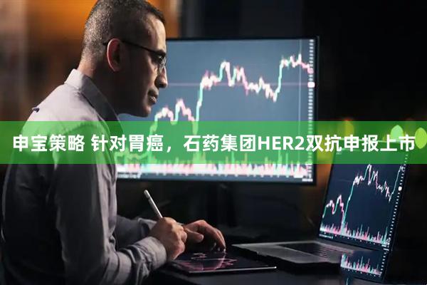 申宝策略 针对胃癌,石药集团HER2双抗申报上市