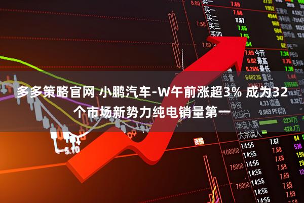 多多策略官网 小鹏汽车-W午前涨超3% 成为32个市场新势力纯电销量第一